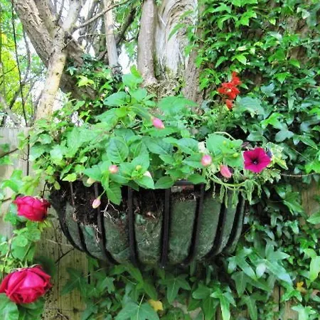 Teach Na Coiribe Castlegar