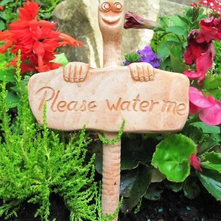 Bed & Breakfast Teach Na Coiribe Castlegar