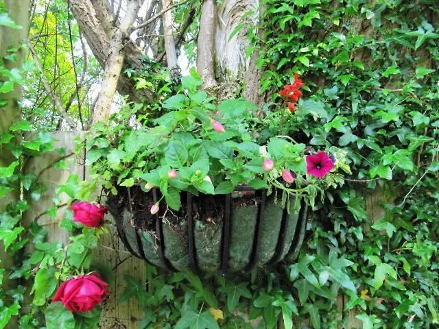 Teach Na Coiribe Castlegar